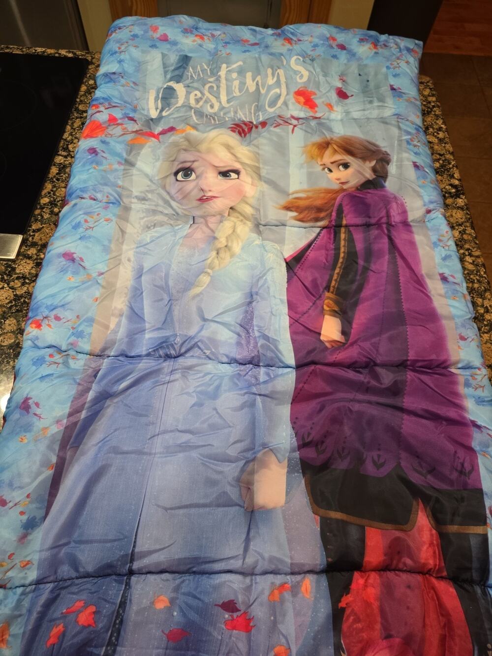 Disney Frozen II Elsa & Anna Sleeping Bag w/ Cover